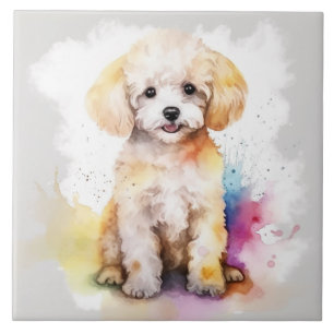 Azulejo Caniche Toy Blanco Acuarela Cachorro