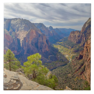 Azulejo Cañón Zion Utah