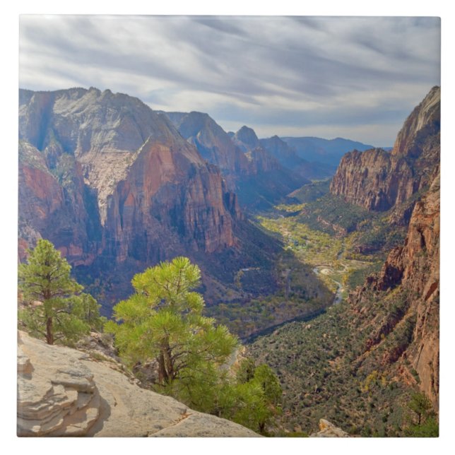 Azulejo Cañón Zion | Utah (Frente)