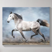 Caballo Gris Hermoso Cielo Dramático Paisaje Areno