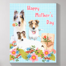 Tres hermosos Rough Collies 