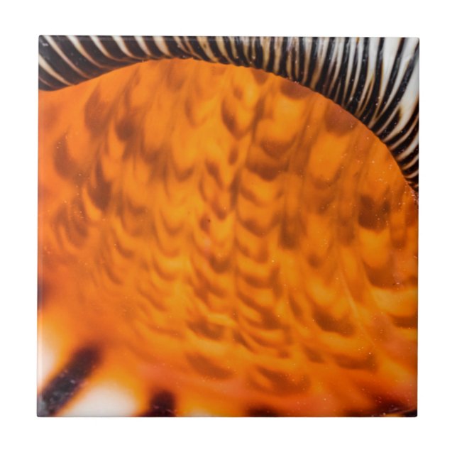 Azulejo Capa de agua de mar (Frente)