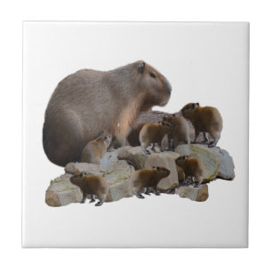 Azulejo Capibaras Momias Y Bebés,