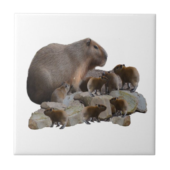 Azulejo Capibaras Momias Y Bebés, (Frente)
