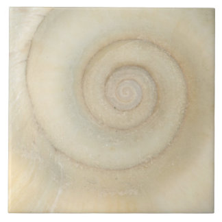 Azulejo Cápiz - Conquiliología - Espiral Blanca