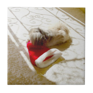 Azulejo Captura de Santa