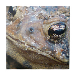 Azulejo Cara de juguete