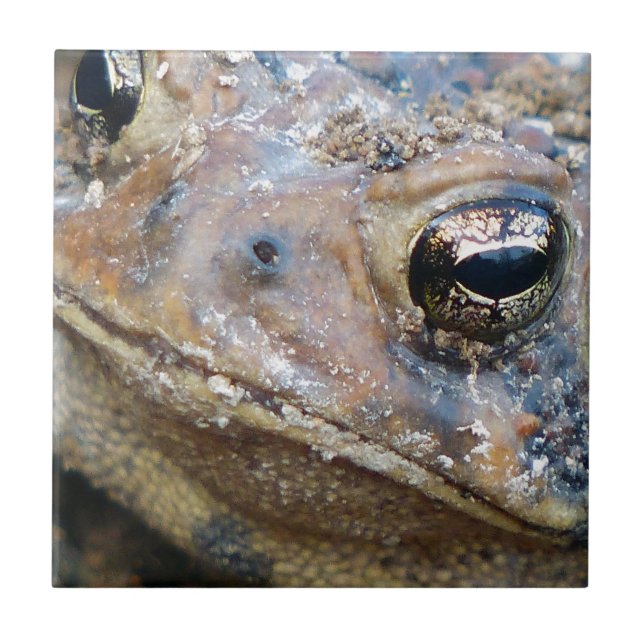 Azulejo Cara de juguete (Frente)