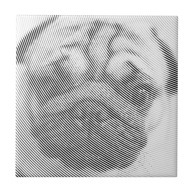 Azulejo Cara de pug (Frente)