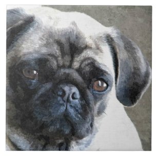 Azulejo Cara de pug