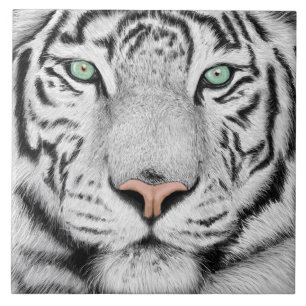 Azulejo Cara del tigre de nieve