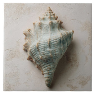 Azulejo Caracol de Concha Costera Aqua y Arena