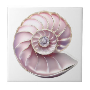 Azulejo Caracol Nautilus rosa 3D playa mar náutico