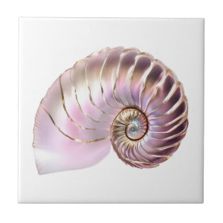Azulejo Caracol nautilus rosa oro 3D playa náutico