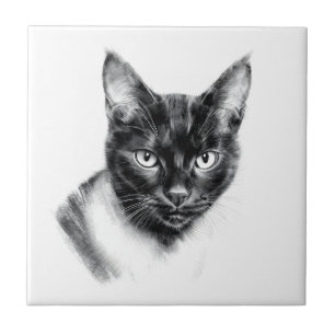 Azulejo Carboncillo de gato