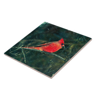 Azulejo Cardenal de invierno en tormenta de nieve - Mejora