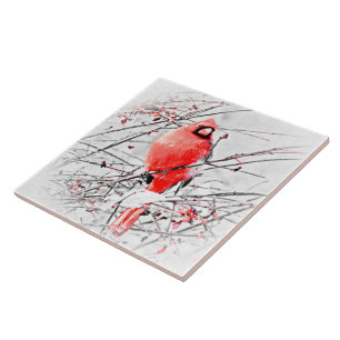 AZULEJO CARDENAL DE SEXO MASCULINO DEL INVIERNO