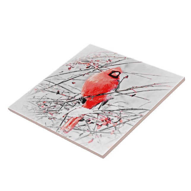 AZULEJO CARDENAL DE SEXO MASCULINO DEL INVIERNO (Lado)