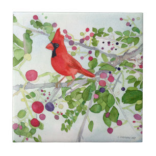 Azulejo Cardenal de verano