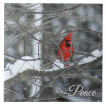 Cardenal en la nieve
