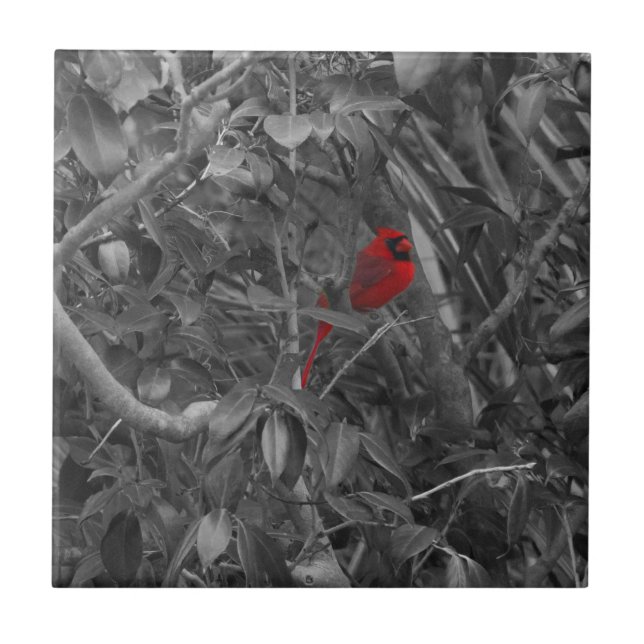 Azulejo Cardenal en mosaico de árbol (Frente)