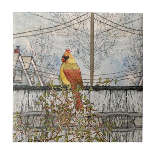 Azulejo Cardenal femenino en el mosaico cerámico de la ciu (Frente)