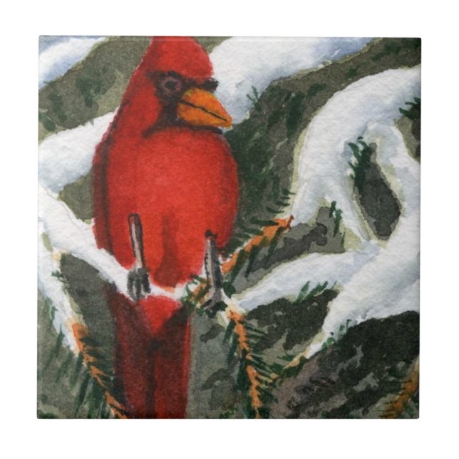 Azulejo Cardenal rojo brillante en un pino cubierto de nie (Frente)