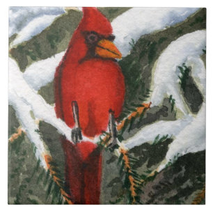 Azulejo Cardenal rojo de las aves en los pinos cubiertos d