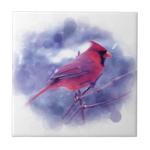 Azulejo Cardenal rojo en Blizzard