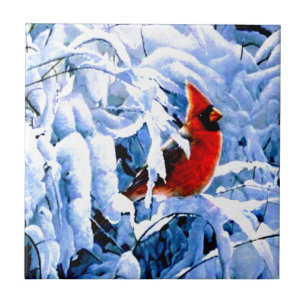 Azulejo Cardenal rojo en la nieve de invierno
