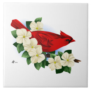 Azulejo Cardenal septentrional de sexo masculino