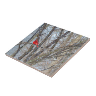 Azulejo Cardenal y pollo