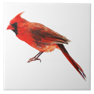 Azulejo Cardenales