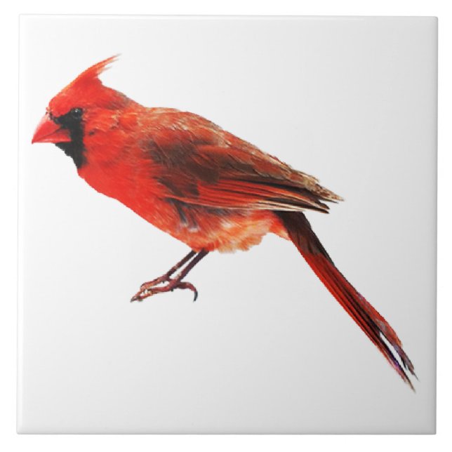 Azulejo Cardenales (Frente)