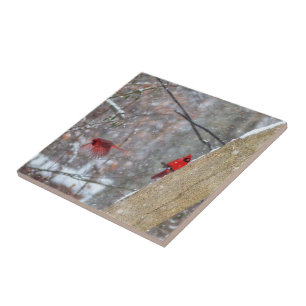 Azulejo Cardenales en la nieve