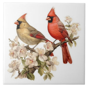 Azulejo Cardenales macho y hembra posados