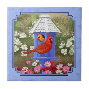 Azulejo Cardenales y azul de la casa de aves redonda