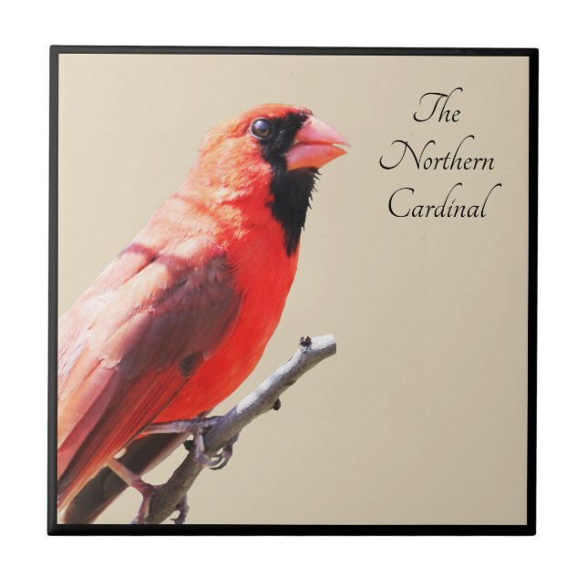 Azulejo Cardinal (Frente)