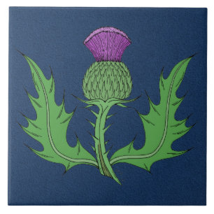 Azulejo Cardo