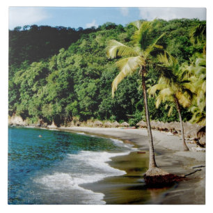 Azulejo Caribe, Antillas Menores, Indias Occidentales, San