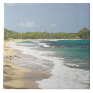Azulejo Caribe, GRANADA, Costa Este, Bahía de Granada