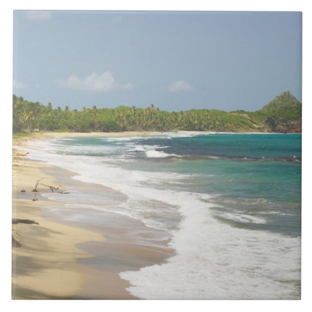 Azulejo Caribe, GRANADA, Costa Este, Bahía de Granada (Frente)