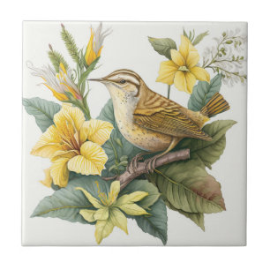 Azulejo Carolina del Sur Yellow Jessamine Carolina Wren
