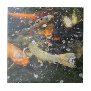 Azulejo Carpa japonesa Koi Pescado Nadando