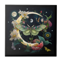 Carreau en céramique  -  Papillon de nuit