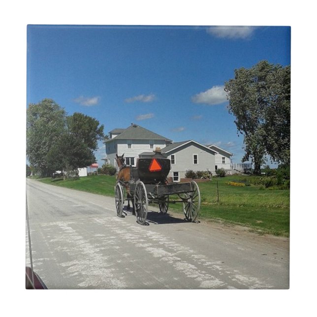 Azulejo Carretera de campo (Frente)