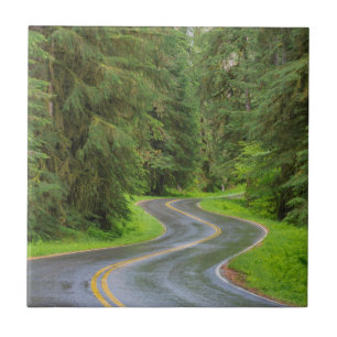 Azulejo Carretera del río Sol Duc a través del bosque