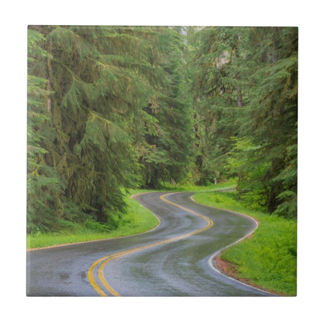 Azulejo Carretera del río Sol Duc a través del bosque (Frente)