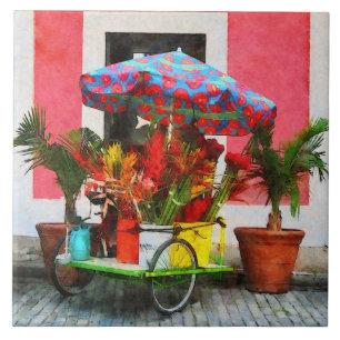 Azulejo Carro San Juan, Puerto Rico de la flor