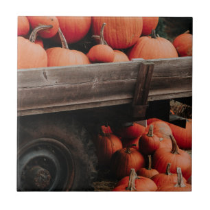 Azulejo carroza de calabaza
